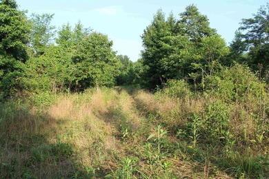 ract 1, 5+/- Acres Build Sites Near Shoal Bay Park Midwest Land - photo 48