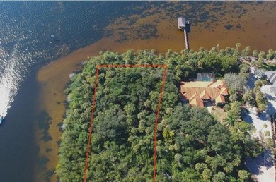 Tranquil private setting on the Indian River! This gorgeous - photo 4