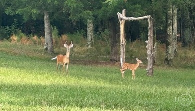 Lake Russell Acreage For Sale in Elberton Georgia