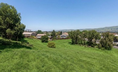 Exceptional opportunity to build your dream home in San Jose's - photo 6