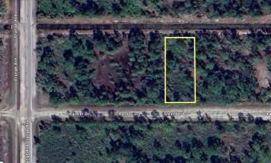 Lake Weohyakapka (Lake Walk-In-Water) Lot For Sale in Indian Lake Estates Florida