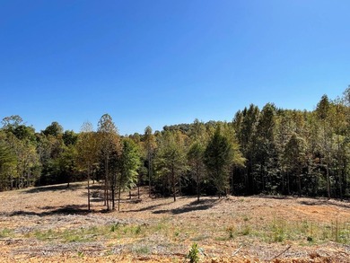 Dale Hollow Lake Acreage For Sale in Burkesville Kentucky