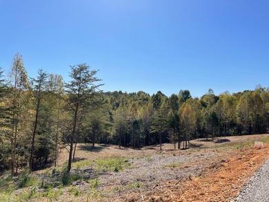 This almost 5-acre tract is an exceptional opportunity! - photo 3