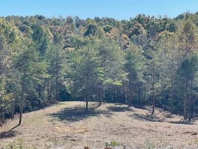 This almost 5-acre tract is an exceptional opportunity! - photo 4