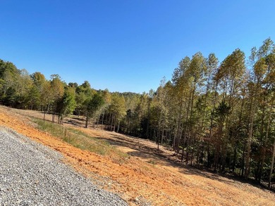 This almost 5-acre tract is an exceptional opportunity! - photo 5