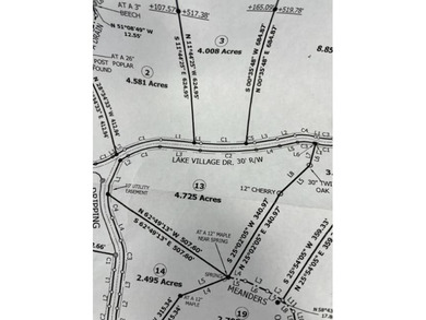 This almost 5-acre tract is an exceptional opportunity! - photo 9
