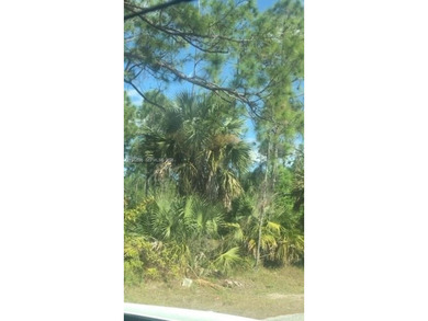Lehigh Acres Area Lot Sale Pending in Lehigh Acres Florida