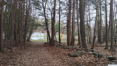 Alcove Reservoir Acreage For Sale in New Baltimore New York
