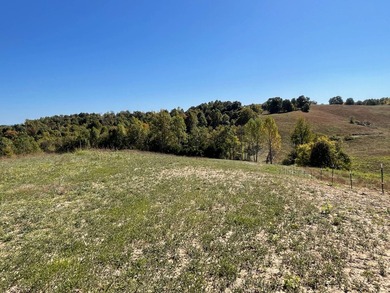 Take a look at this view! This 3.515-acre property, per new - photo 5