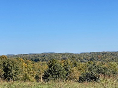 Take a look at this view! This 3.515-acre property, per new - photo 7