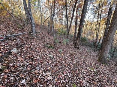 Possible views in this lot that is located in Fontana View, a - photo 9