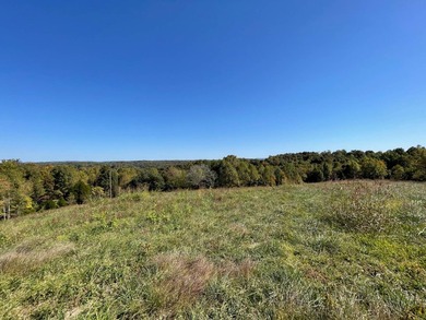 Take a look at this view! This 3.515-acre property, per new - photo 9