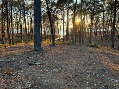 Lake Lot For Sale in Many, Louisiana