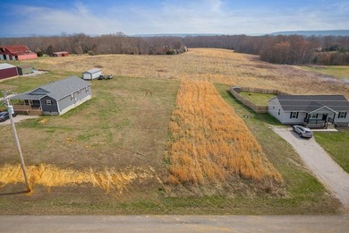 GREAT POTENTIAL FOR DEVELOPMENT. 28.16 ACRES. LEVEL. GREAT FARM - photo 2
