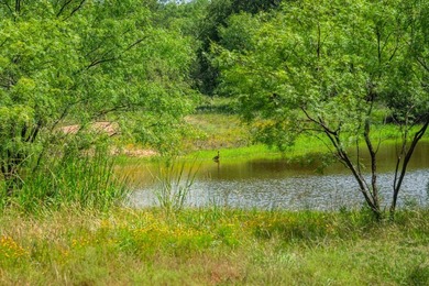 Just 13 miles southwest of Llano, this 840-acre Hill Country - photo 23
