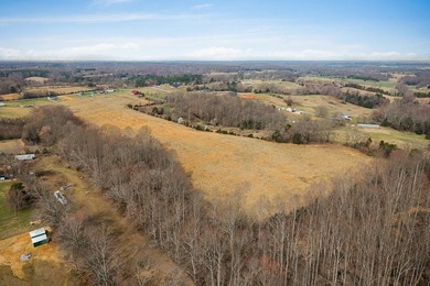 GREAT POTENTIAL FOR DEVELOPMENT. 28.16 ACRES. LEVEL. GREAT FARM - photo 8