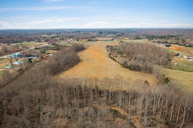GREAT POTENTIAL FOR DEVELOPMENT. 28.16 ACRES. LEVEL. GREAT FARM - photo 9