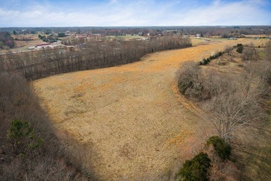 GREAT POTENTIAL FOR DEVELOPMENT. 28.16 ACRES. LEVEL. GREAT FARM - photo 10