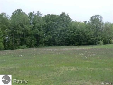 Lot 29 is a beautiful open lot, centrally located in Arcadia - photo 2
