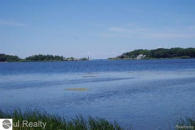 Lot 29 is a beautiful open lot, centrally located in Arcadia - photo 10