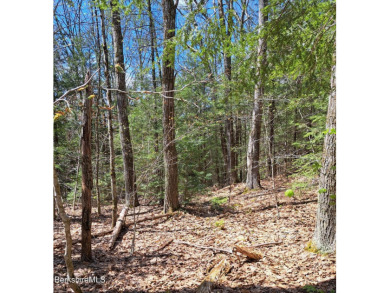 Lake Lot For Sale in Otis, Massachusetts