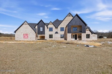 (private lake, pond, coastal) Home For Sale in Terry Mississippi