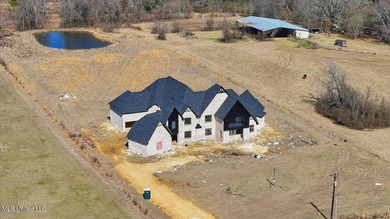 Ready for you to finish and personalize, this stunning home sits - photo 2