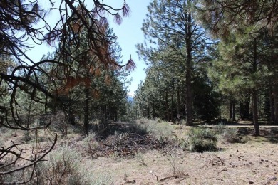 Lake Lot For Sale in Cascade, Idaho