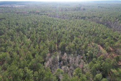 Lake Alapaha Lot For Sale in Naylor Georgia