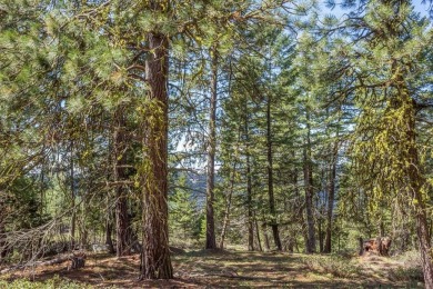 Lake Acreage For Sale in Cascade, Idaho