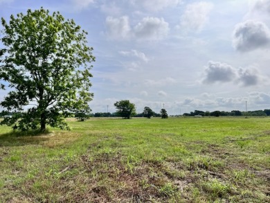 Prime Road Frontage Opportunity close to Richland Chambers Lake! - photo 17