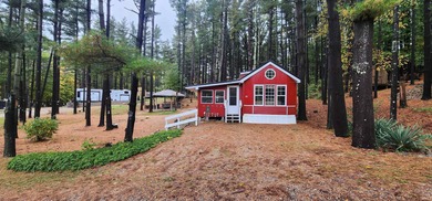Lake Home For Sale in Angola, Indiana