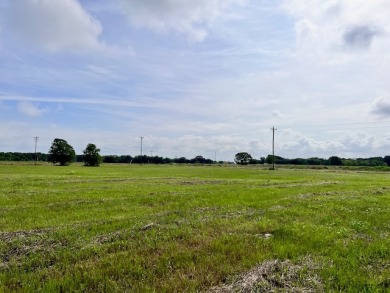Prime Road Frontage Opportunity close to Richland Chambers Lake! - photo 25