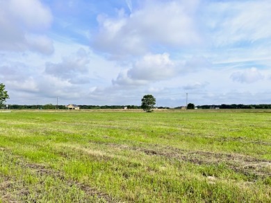 Prime Road Frontage Opportunity close to Richland Chambers Lake! - photo 28