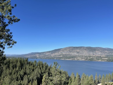 Lake Roosevelt - Ferry County Acreage For Sale in Kettle Falls Washington