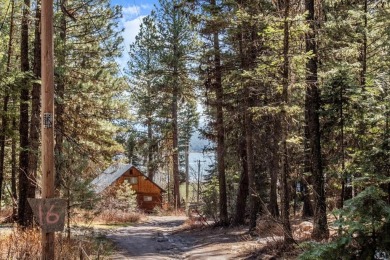 Lake Lot Sale Pending in Cascade, Idaho