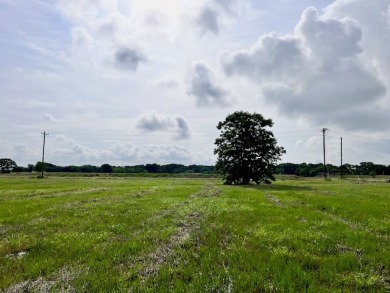 Prime Road Frontage Opportunity close to Richland Chambers Lake! - photo 24