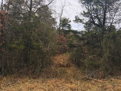 Piney Bay Lake Lot For Sale in London Arkansas