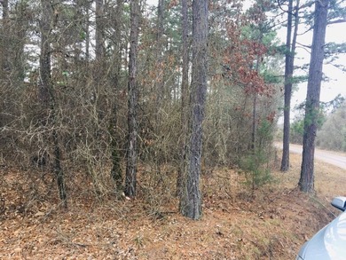Piney Bay Lake Lot For Sale in London Arkansas