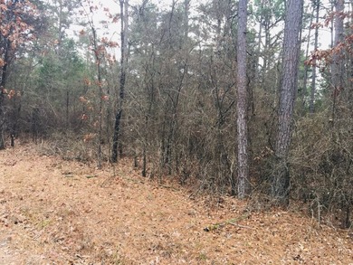 1.59 acres on which to build your forever home in the highly - photo 2