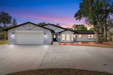 Lake Home Sale Pending in Leesburg, Florida