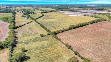 PHASE 1 of the master-planned development for 1-acre lots has - photo 10