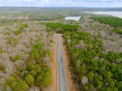 This 3.03 acre lot is located in the brand new Vida Del Lago - photo 11