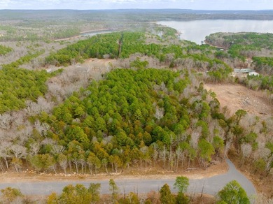 This 3.03 acre lot is located in the brand new Vida Del Lago - photo 13
