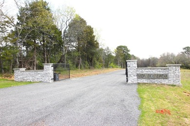 This 3.03 acre lot is located in the brand new Vida Del Lago - photo 15
