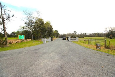 This 3.03 acre lot is located in the brand new Vida Del Lago - photo 16