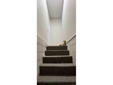 Have you been searching for the perfect *starter home* or maybe - photo 23