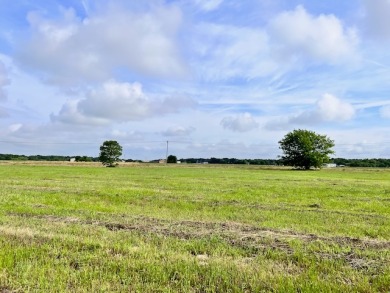 Prime Road Frontage Opportunity close to Richland Chambers Lake! - photo 26