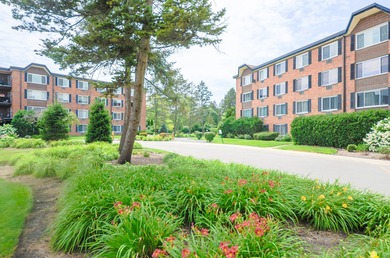 (private lake, pond, creek) Condo Active Under Contract in Arlington Heights Illinois