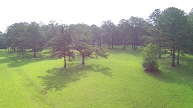 Paradise Found! This stunning property features an artesian well - photo 11